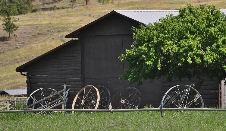 irrigation wheels against a barn